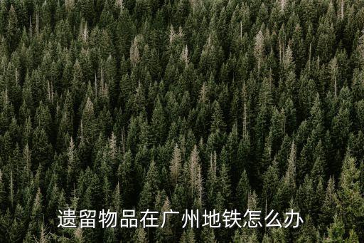 遺留物品在廣州地鐵怎么辦