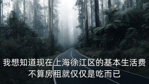 上海市個人伙食費(fèi)，在上海普通的一個月的生活費(fèi)有多少
