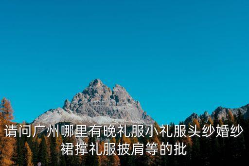 廣州批發(fā)市場(chǎng)晚禮服件套，廣州批發(fā)晚禮服的地方