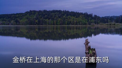 上海市金橋區在哪，上海金橋在那