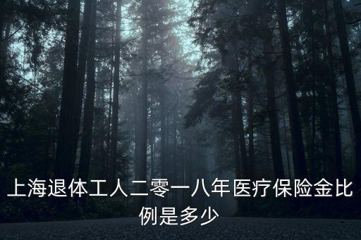 上海退體工人二零一八年醫療保險金比例是多少