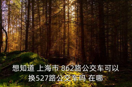 想知道 上海市 862路公交車可以換527路公交車嗎 在哪