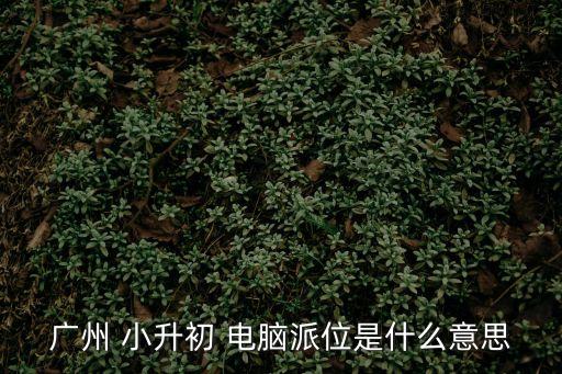 廣州市2018年小升初電腦派位，廣州 小升初 電腦派位是什么意思