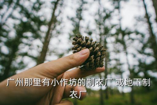 廣州那里有小作坊的制衣廠 或地下制衣廠