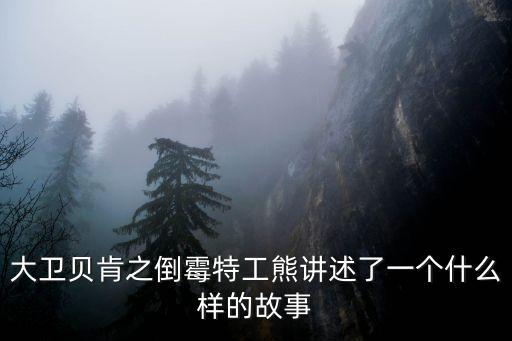 倒霉熊特工大電影，倒霉熊有沒有第2個大電影了