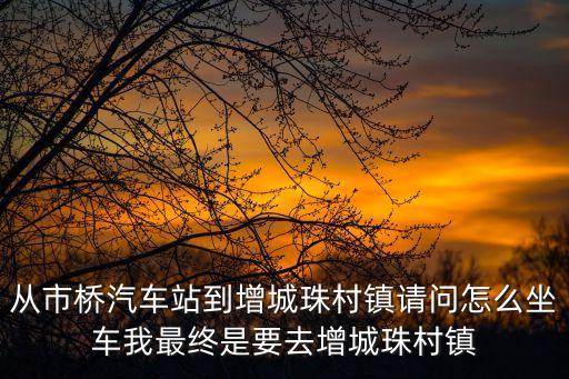 從市橋汽車站到增城珠村鎮請問怎么坐車我最終是要去增城珠村鎮