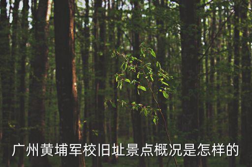 廣州黃埔革命紀(jì)念點(diǎn)，廣州旅游景區(qū)的黃埔軍校舊址