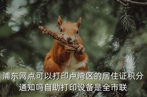 浦東網(wǎng)點可以打印盧灣區(qū)的居住證積分通知嗎自助打印設(shè)備是全市聯(lián)