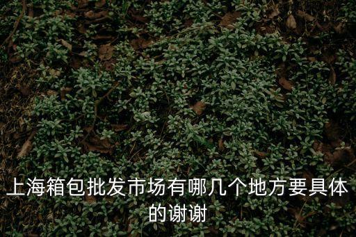 上海市箱包城在哪，上海哪里有箱包城啊急