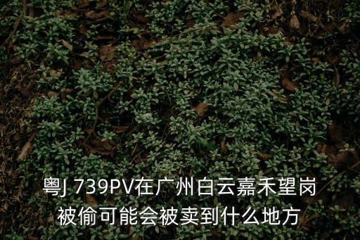 粵J 739PV在廣州白云嘉禾望崗被偷可能會被賣到什么地方