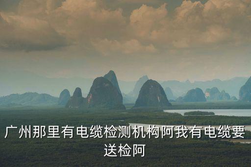 廣州那里有電纜檢測機構阿我有電纜要送檢阿