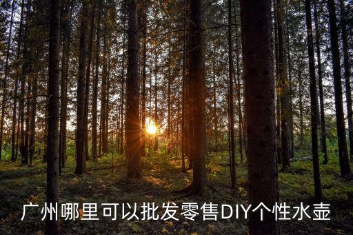 廣州市手工銅壺，廣州哪里可以批發零售DIY個性水壺