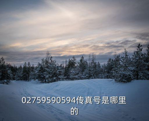 上海市天壇普華傳真號，傳真059138112978號碼是哪里