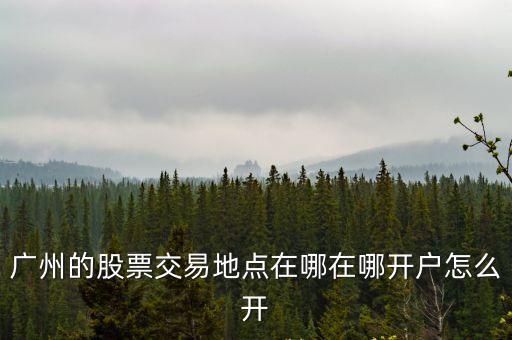 廣州散戶交易大廳，廣州的股票交易地點(diǎn)在哪在哪開戶怎么開