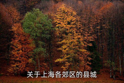 關(guān)于上海各郊區(qū)的縣城