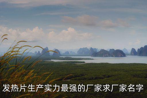 發熱片生產實力最強的廠家求廠家名字