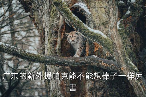 廣東的新外援帕克能不能想棒子一樣厲害