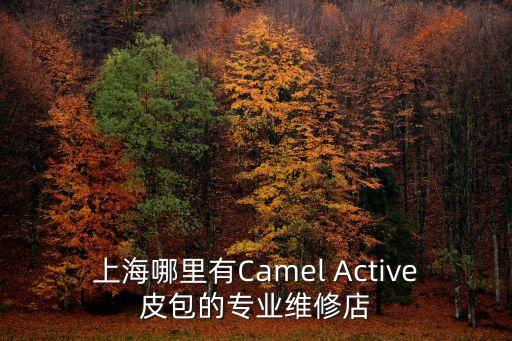 上海哪里有Camel Active皮包的專業(yè)維修店