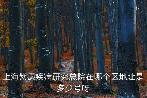 上海紫癜疾病研究總院在哪個區地址是多少號呀
