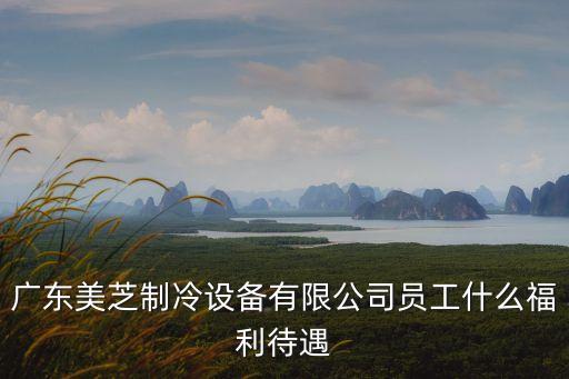 廣州美芝待遇怎么樣，廣東美芝制冷設備有限公司員工什么福利待遇