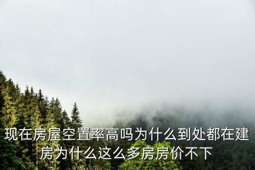 現在房屋空置率高嗎為什么到處都在建房為什么這么多房房價不下