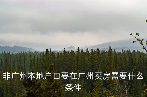 非廣州本地戶口要在廣州買房需要什么條件
