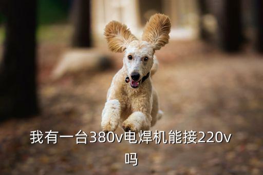 我有一臺(tái)380v電焊機(jī)能接220v嗎
