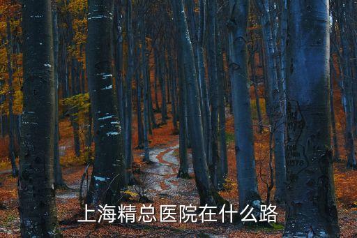 上海精總醫院在什么路
