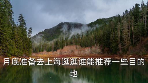 月底準(zhǔn)備去上海逛逛誰能推薦一些目的地