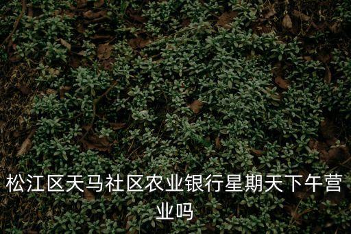 上海市松江區農業銀行營業時間，上海的農行上午幾點營業啊
