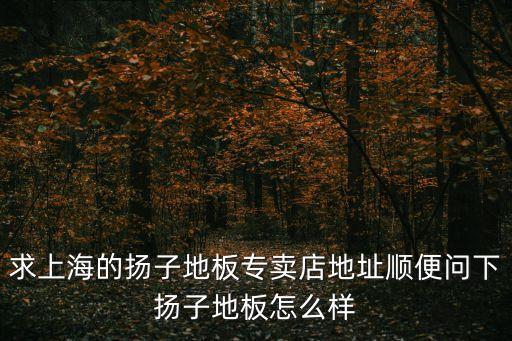 求上海的揚子地板專賣店地址順便問下揚子地板怎么樣