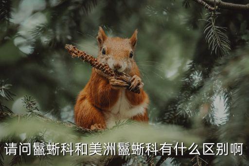 美洲鬣蜥，請問鬣蜥科和美洲鬣蜥科有什么區(qū)別啊