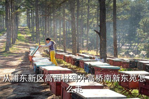 上海市高橋鎮高西村，外高橋高行鎮行南路高西村油車宅87號 附近有什么快遞公司