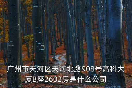 廣州市天河區(qū)天河北路908號(hào)高科大廈B座2602房是什么公司