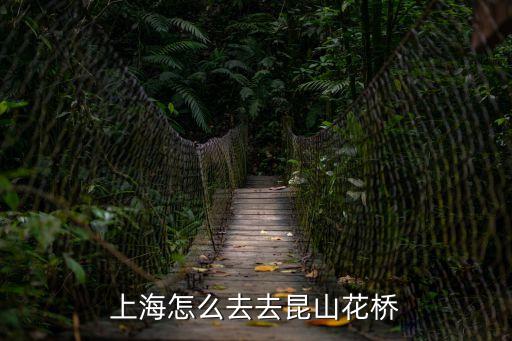 上海怎么去去昆山花橋