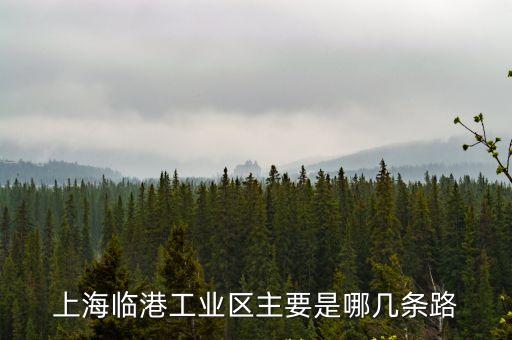 上海臨港工業(yè)區(qū)主要是哪幾條路