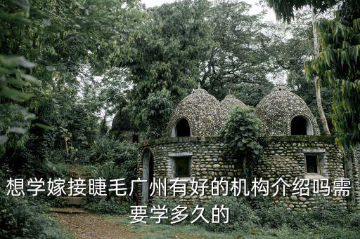 廣州番禺睫毛培訓(xùn)機構(gòu)，想學(xué)嫁接睫毛廣州有好的機構(gòu)介紹嗎需要學(xué)多久的