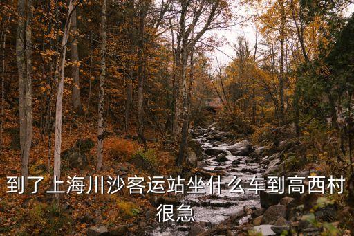 到了上海川沙客運(yùn)站坐什么車到高西村很急