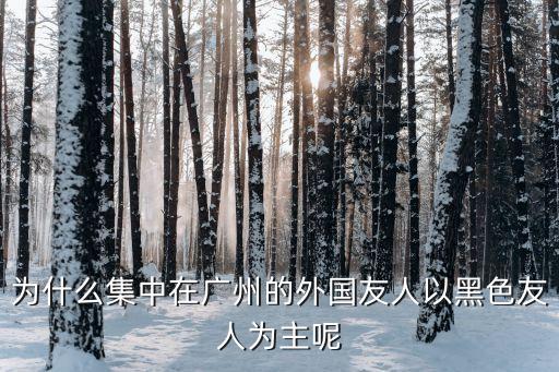 外國人眼中的廣州站，現在的話廣州的老外為什么那么多啊