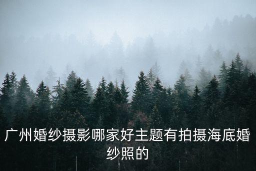 廣州水下婚紗照口碑怎么樣，美輪美奐的水下婚紗 你聽說過嗎