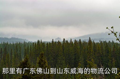 那里有廣東佛山到山東威海的物流公司