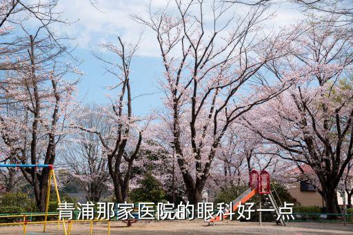 青浦那家醫院的眼科好一點