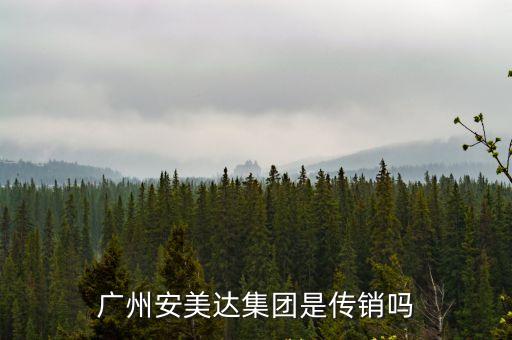 廣州安美達集團是傳銷嗎