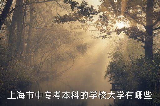 上海市中專考本科的學(xué)校大學(xué)有哪些