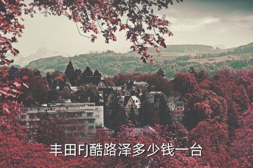 上海市二手豐田FJ報價，豐田的二手FJ大概多少錢啊
