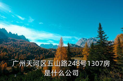 廣州天河區五山路248號1307房是什么公司
