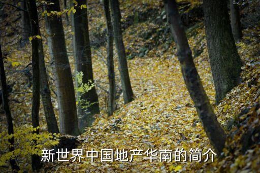 今年廣州新世界地產(chǎn)規(guī)劃，東塔是否建華南第一高樓