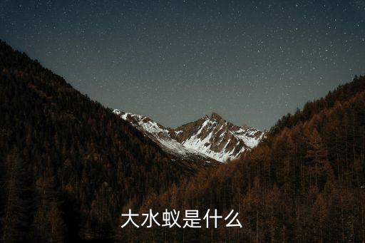 大水蟻，大水蟻是什么