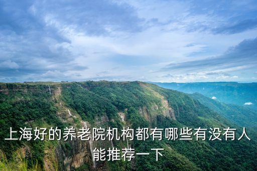 上海好的養(yǎng)老院機(jī)構(gòu)都有哪些有沒(méi)有人能推薦一下