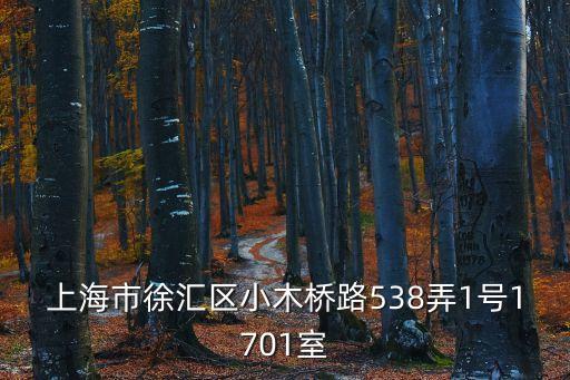 上海市徐匯區(qū)小木橋路538弄1號(hào)1701室
